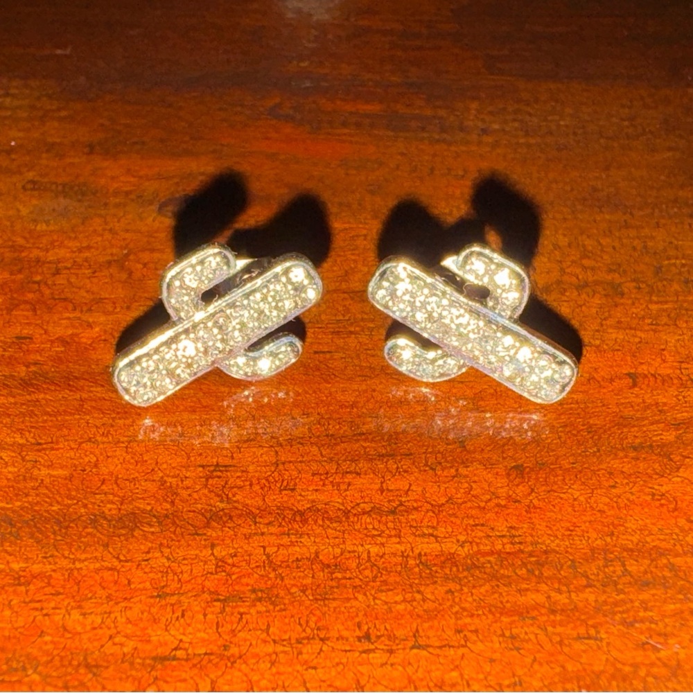 Silver Cactus Crystal Earrings